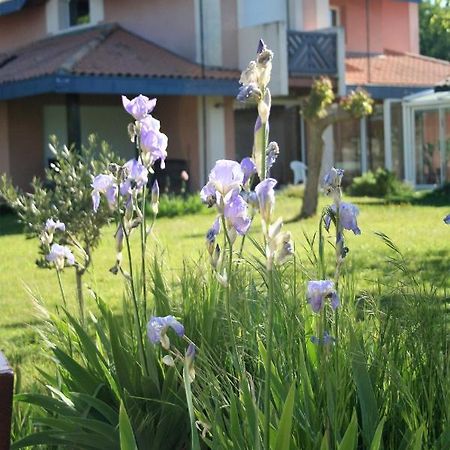 Villa Helianthe Audenge Luaran gambar