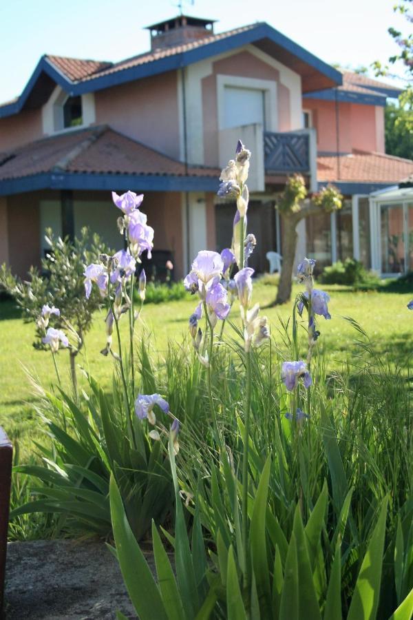 Villa Helianthe Audenge Luaran gambar